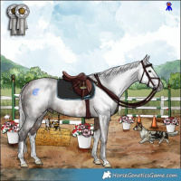 Horse Color:Gray White Spotted Silver Bay Sabino Splash Rabicano 