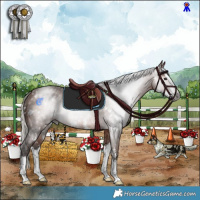 Horse Color:Gray White Spotted Silver Bay Sabino Splash Rabicano