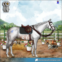 Horse Color:Gray White Spotted Silver Bay Sabino Splash Rabicano 
