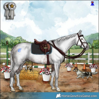 Horse Color:Gray White Spotted Silver Bay Sabino Splash Rabicano