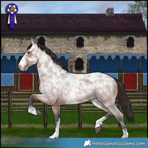 Horse Color:Bay Ice Roan Sabino Rabicano 