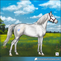 Horse Color:Gray Silver Buckskin Roan Onyx Splash Tobiano 