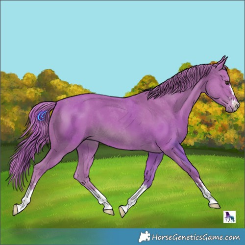 Horse Color:Watercolor Chestnut 