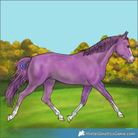 Horse Color:Watercolor Chestnut 