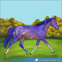 Horse Color:Watercolor White Spotted Brown Tobiano Rabicano 