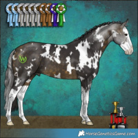 Horse Color:White Spotted Buckskin Splash 