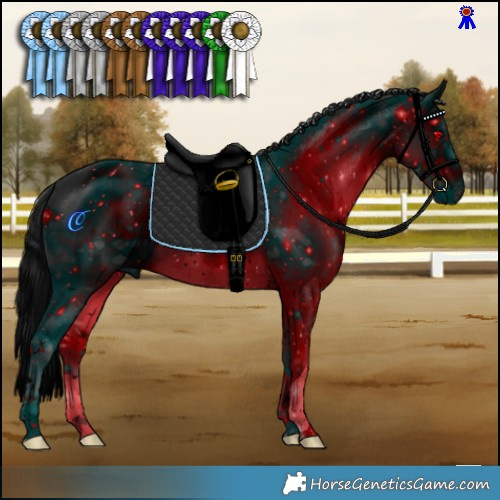 Horse Color:ERROR: UNKNOWN ANOMALY