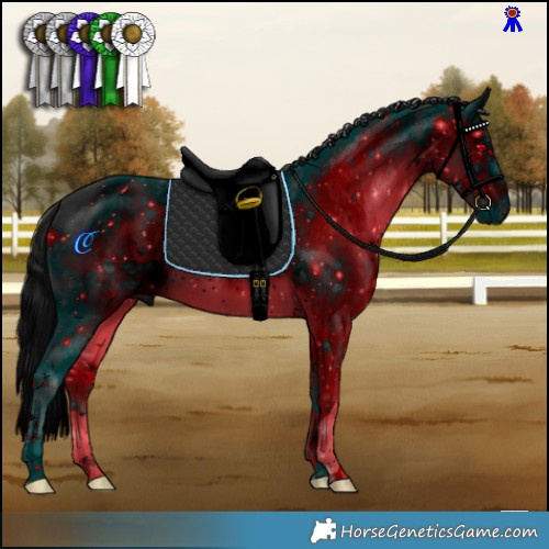 Horse Color:ERROR: UNKNOWN ANOMALY