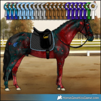 Horse Color:ERROR: UNKNOWN ANOMALY