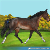 Horse Color:Brown 