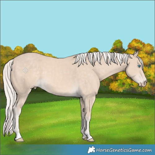 Horse Color:Cremello 