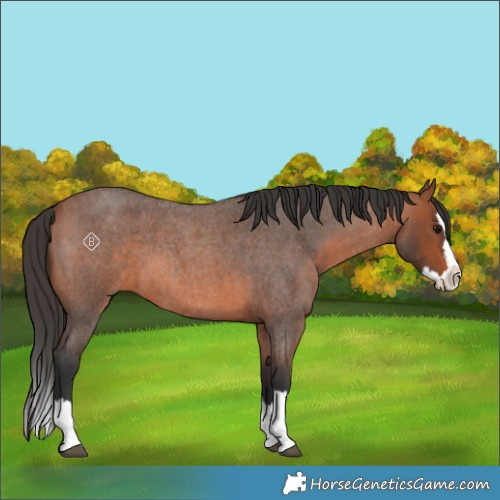 Horse Color:Unknown 