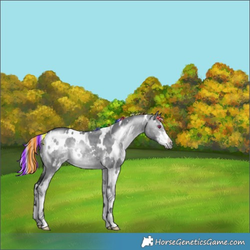 Horse Color:Painted White Spotted Silver Brown Chinchilla Dun Sabino 