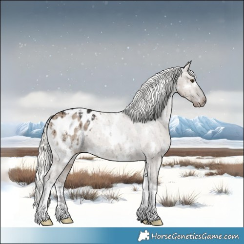 Horse Color:White Spotted Liver Red Dun Mushroom Appaloosa Brindle 