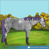 Horse Color:Void Painted Black Ice 
