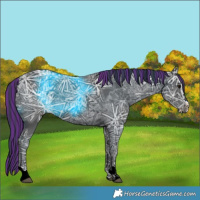 Horse Color:Painted Black Ice 