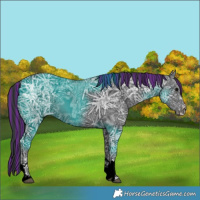 Horse Color:Painted Black Ice 