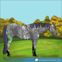 Horse Color:Painted Black Ice Tobiano 