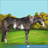 Horse Color:Painted Blue Onyx Ice Sabino