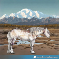 Horse Color:Plaid White Spotted Silver Brown Ice Onyx Mushroom