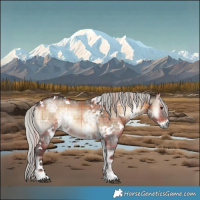 Horse Color:Plaid  White Spotted Silver Brown Ice Onyx Mushroom 
