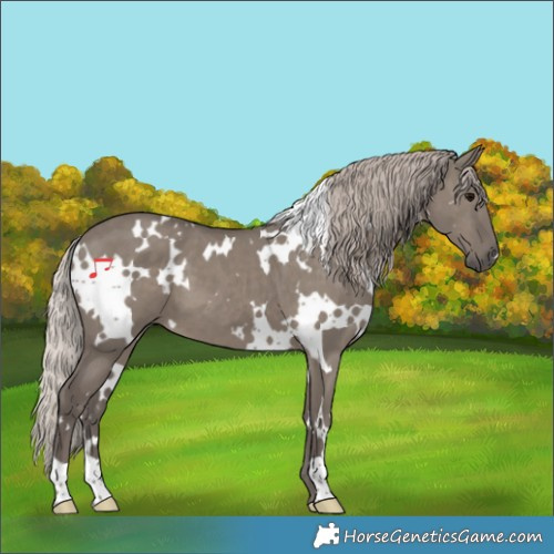 Horse Color:White Spotted Silver Grullo 