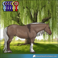 Horse Color:Silver Brown Dun Tobiano 