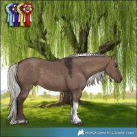 Horse Color:Silver Brown Dun Tobiano