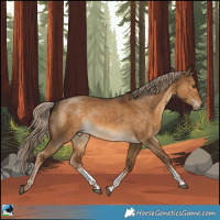 Horse Color:Chocolate Palomino Dun Sabino