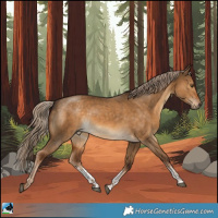 Horse Color:Chocolate Palomino Dun Sabino 