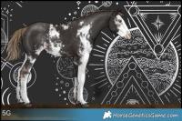 Horse Color:Liver Chestnut Sabino 