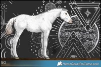 Horse Color:Liver Chestnut Sabino 