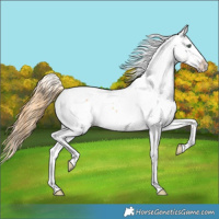Horse Color:Amber Cream Champagne Dun Near Fewspot 