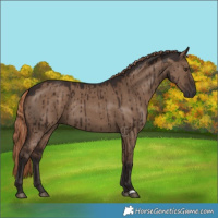 Horse Color:Liver Red Dun Rabicano Brindle 