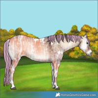 Horse Color:Painted White Spotted Liver Red Dun Ice Onyx 