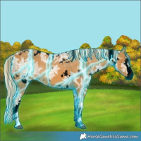 Horse Color:Void Thunderstruck White Spotted Palomino Ice Splash 