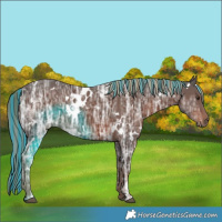 Horse Color:Painted White Spotted Liver Chestnut Ice 