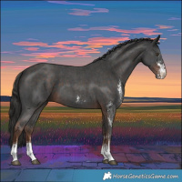 Horse Color:Liver Chestnut Sabino