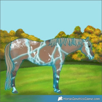 Horse Color:Thunderstruck White Spotted Liver Red Dun Ice 