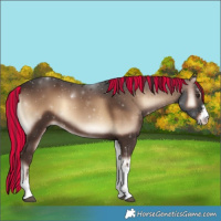Horse Color:Painted White Spotted Liver Red Onyx