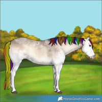 Horse Color:Painted White Spotted Liver Red Dun Ice Onyx 