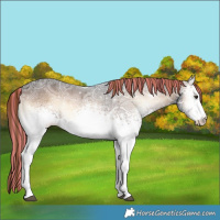 Horse Color:Painted White Spotted Liver Red Onyx Ice 
