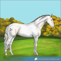 Horse Color:Perlino Dun Sabino Tobiano 