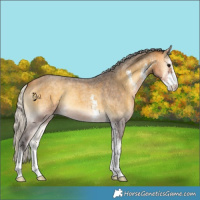 Horse Color:Silver Buckskin Roan Onyx Sabino 