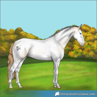 Horse Color:Smoky Grullo Roan Pearl Splash Tobiano 