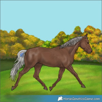 Horse Color:Silver Black 