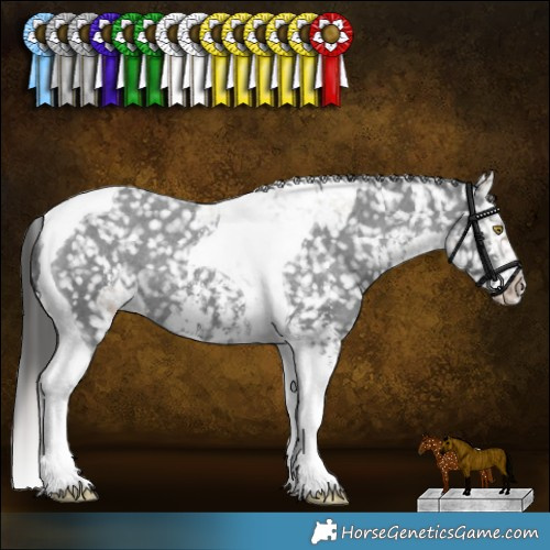 Horse Color:Liver Red Dun Roan Tobiano Appaloosa Rabicano  and Black Sabino Tobiano Appaloosa Rabicano 