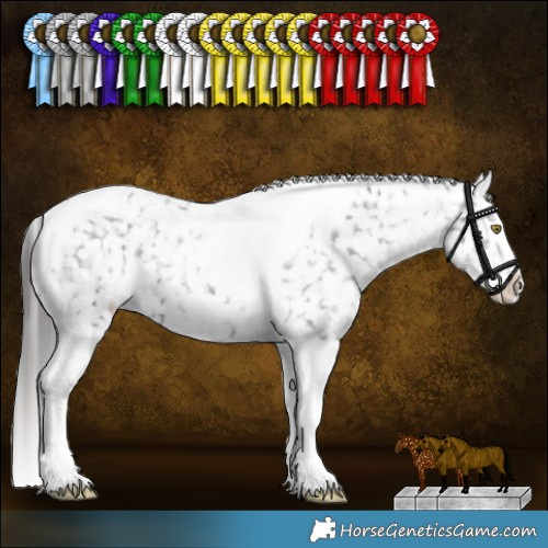 Horse Color:Liver Red Dun Roan Tobiano Appaloosa Rabicano  and Black Sabino Tobiano Appaloosa Rabicano 