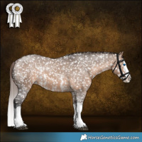 Horse Color:Brown Dun Sabino Splash Snowflake VarnishBrindle 