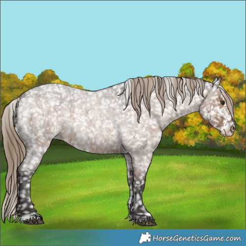 Horse Color:Liver Red Dun Roan Sabino Appaloosa Brindle 